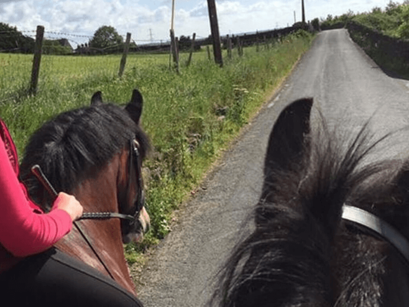 Helen_Barrett_Equestrian_Hacking